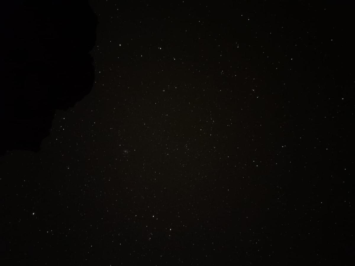 Nature Star Camp Ξενοδοχείο Ουάντι Ραμ Εξωτερικό φωτογραφία