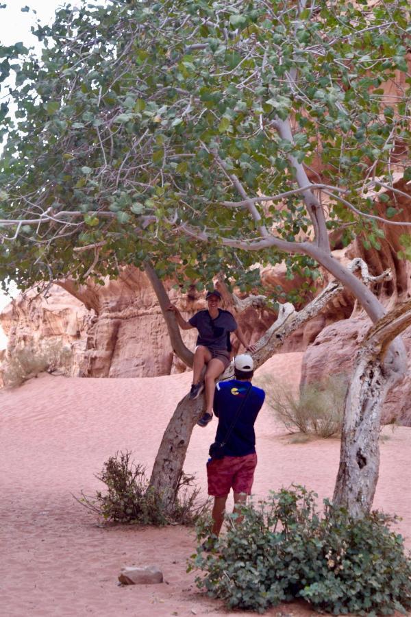 Nature Star Camp Ξενοδοχείο Ουάντι Ραμ Εξωτερικό φωτογραφία